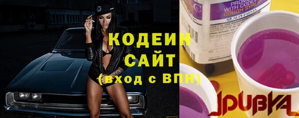 СК Новозыбков