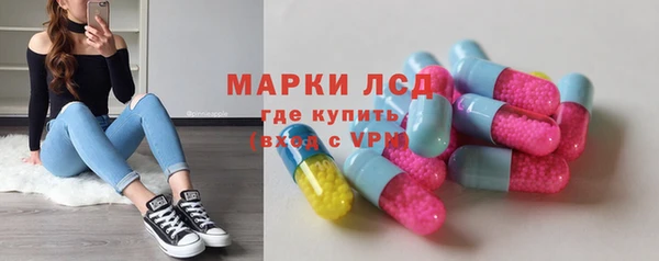 СК Новозыбков