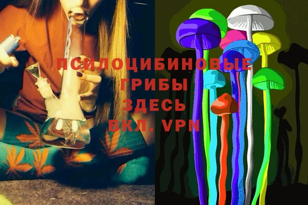 СК Новозыбков