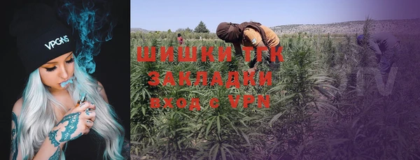СК Новозыбков