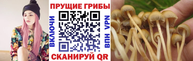 Псилоцибиновые грибы MAGIC MUSHROOMS наркота omg как войти Красновишерск